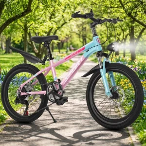 6 Speed Aluminum Alloy Mountain Bike with Spring Suspension Fork Dual-Disc Brakes Tailless Chassis for Youth Boys 18/20/22 Inch