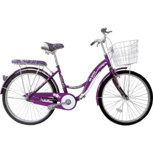 6 Speed Bike City Bike Female Bicycle lady Vintage Bike 6 Speed Bike High Quality City Bike in India Price