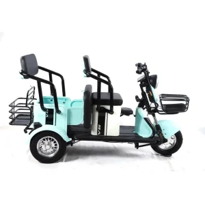 600W 3 Wheel Cargo Ebike Long Range E Cargo Tricycle Electric Bike for Adults
