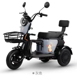 600W 48V Electric Cargo Tricycle Motorcycle Open-Body 3-Wheel Electric Bike