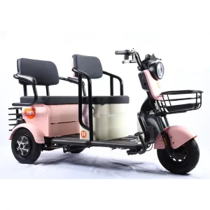600W Cargo Electric Tricycle Long Range E Tricycle 3 Wheel Electric Cargo Bike for Adults