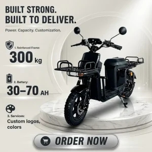 60V 1000W Long Distance Cargo Electric Bike with Fat Tires 55km/h High Speed 180KM Long Range
