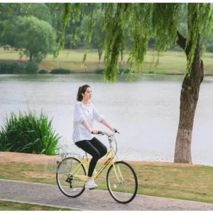 7 Speed Urban City Bicycle for Girls 24/26 Inches Beach Cruiser Style Lady’s Steel Fork Bikes