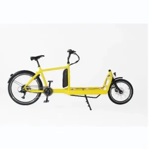 7 Speeds Electric Cargo Bike 2 Wheels Family Cargo Bike