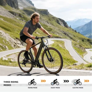 700C Electric Assist Bicycle Outdoor Touring Bike for Adults City Bike with Gears