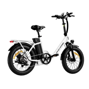 720W 48V Electric Fat Tire Bicycle Mountain Bike 20 Inch Foldable Bicycle
