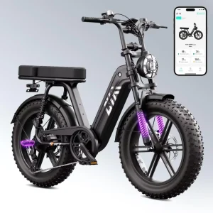750W 1000W 1200W 1500W Electric Bike 20 Inch Mountain Electric Bike for Outdoors
