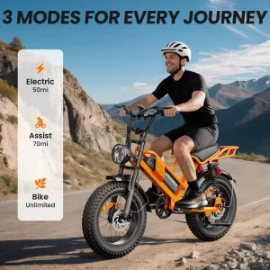 750 W Electric Hybrid Bicycle, 20-Inch Fat-Tire City Bike with Rear Hub Motor, 15 Ah Lithium Battery, Disc Brakes, Maximum Speed 45 km/h