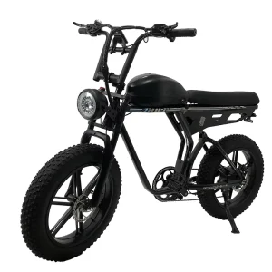750W 20 Inch Fat Tire Electric City Bike 7 Speed Hydraulic Disc Brake Urban E Bike for Adults 48V Lithium Battery Power Supply