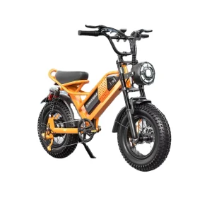 Children’s Electric Bicycle 750W Fat-Tire Hybrid Electric Bicycle Mini Electric Bicycle for Boys and Girls