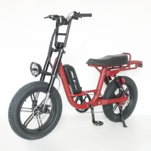 750W 48V Dual Rear Suspensions Fat Tire Ebikes Low Step 7 Speed Cruiser Electric Bicycle