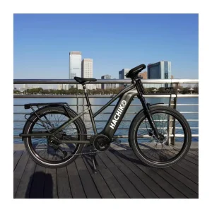 750W High-Power Electric Hybrid Bicycle 48V 30Ah Long-Range Travel Electric Cargo Bicycle