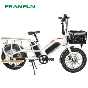 750W Long Tail 2 Seat Electric Bike Long Range 100km Cargo Bicycle