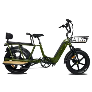 750W Motor 20 Inch Fat Tire Woman Cargo E Bike Electric Bike With Basket