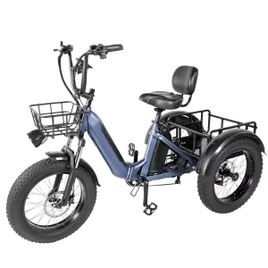 750W Powerful Rear Motor Tricycle 3 Wheel Electric Bike Tricycles 3 Wheel Electric Cargo Bike E Bike Bicycle