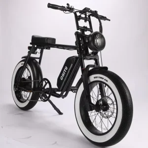750w 1000w Superi 73 Mtb E Bike Pedal Assist Beach Cruiser Fat Tire Bike Electric Mountain Bike