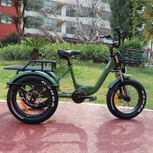 750w1000w Electric Tricycle Mid Drive Bafang 3 Wheel Electric Bike Fast Speed Cargo Tricycle Electric With Long Range
