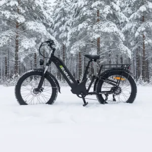 7Speed bicicleta elétrica 3000W Brushless 48V20Ah Lithium Battery Hydraulic Disc Brake 24 Tires for Adult OffRoad Adventure