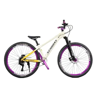 8 Speed Mountain Bike 26 Inch Steel Frame Disc Brake Dirt Jump Fork for Dirt Slope MTB Made in China