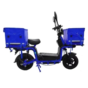 800W 60V Electric Cargo Delivery Road Bike Steel Frame 60V Down Tube Battery with Solar Power Supply for Food Service
