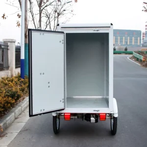 850W Electric Cargo Bicycle Cargo Bike Bakfiets With Rear Box Hydraulic Disc Brake Rear Box Velomobile