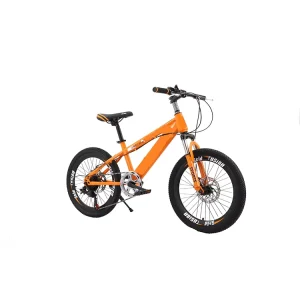 9 10 11 12 13 15 Year Boys Bike Kids Cycle Price Sale in Philippine Youth Bikes Children Bikes New Model Street Bicycle for Kid