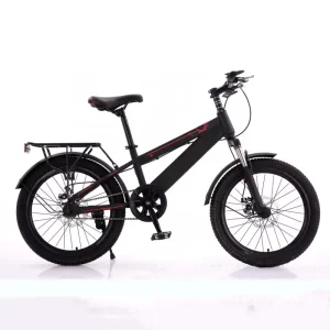 9 10 11 12 13 15 Year Boys Bike Kids Cycle Price Sale in Philippine youth Bikes Children Bikes new Model Street Bicycle for Kids