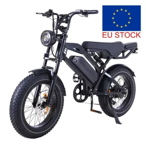 A20 V20 Fatbike Elektrische Fiets Fietsen Moped Dirt Hybrid Bike Eu Magazijn Fatbike Electric Electrische Fiets