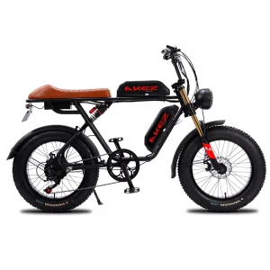 AKEZ US STOCK 20 Inch Powerful 48V 750W Ebike Fat Tire Electric Bicycle Bike S2