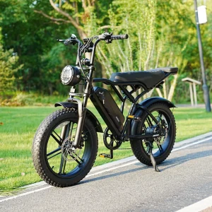 AU Warehouse Electric Bicycles Electric City Bicycles 48V Lithium Battery Electric Fat Bikes