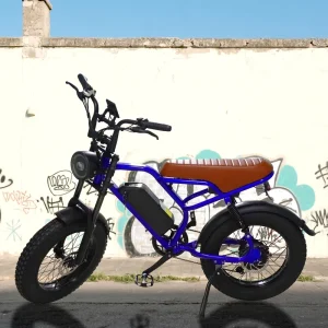 Adult 20 Inch Fat Tire Electric Bicycles 7 Speed Off Road City Bike with Rear Hub Motor and 48V Lithium Battery