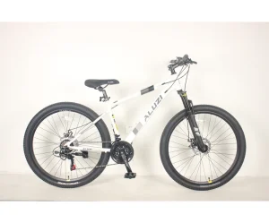 Adult 21 Speed Bicicletas Mountain Bike 26 Inch Bikes for Man MTB