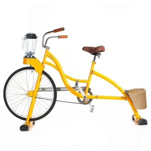 Adult Chopper Bicycle Fruit Vegetable Juice Cruiser Beach Bike