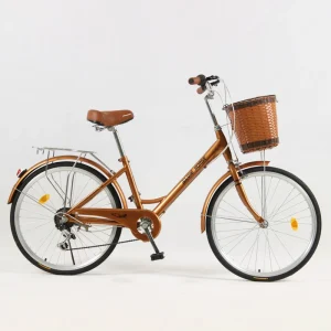 Adult City Bike 24/26 Inch High Carbon Steel Frame Single Speed Urban Commute Bicycle