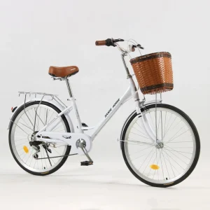 Adult City Bike 24 Inch 26 Inch High Carbon Steel Frame Single Speed