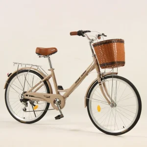 Adult Daily Commute City Bike 24/26 Inch High Carbon Steel Frame Single Speed Bicycle