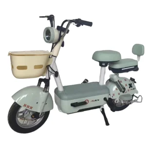 Adult Electric Bicycle From China Factory Popular Design with 48v Sensor Lithium Battery Steel Frame E BIKE