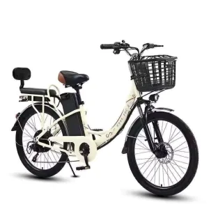 Adult Electric Bicycle with Speed Transmission