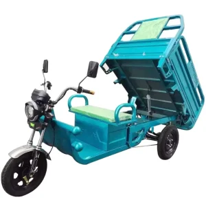 Adult Electric Cargo Bike 12 Inch Electric Cargo Bike Powerful Three Wheel Electric Bicycles With Motor