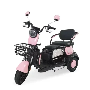 Adult Electric City Bike
