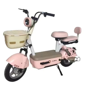 Adult Electric City Bike 48V 500W Motor Stable & Comfortable Ride for Healthy Adults 3 Speed Electric Vehicle