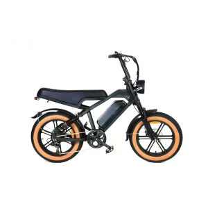 Adult Electric Mountain Bike Fat Tire Ebike Lithium Battery 80 km Aluminum Alloy Frame Hydraulic Disc Brakes Electric Bike