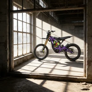 Adult Electric Mountain Bike Sur Ron Finance Surron X Hydraulic Disc Brake 3 Speed Gears Bee Light
