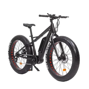 Adult Electric Mountain E Bike with Fat Tire Mid Drive Motor Power Aluminum Alloy Frame