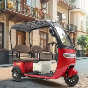 Adult Electric Scooter Motorised 3 Wheel Trike Bike for Passengers 60V Rear Hub Motor Integrated Battery