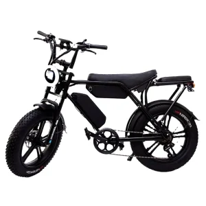 Adult Electronic City Road Electric Bike High carbon Steel Frame Powerful Motor 48v 30ah Lithium Battery 85km Long Range Fat
