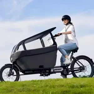 Adult Family Electric Cargo Bike 3 Wheel Electric Cargo Bike with Eu Warehouse