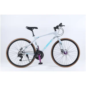 Adult Road Bike with 21 Speed Drivetrain, Disc Brakes and Standard Pedals
