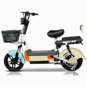 Adult Steel Frame Rear Hub Motor 48V 20Ah 3 Speed Brushless Electric E Bike for Adult 2 Seat