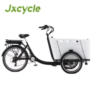 Adult Tricycle with Child Seat Cargo 3 Wheel Electric Cargo Bike